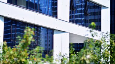 Çevre mimarisi. Yeşil ağaç ve cam ofis binası. Doğanın ve modernliğin ahengi. Modern ticari binanın yansıması güneş ışığıyla cam üzerine.. 