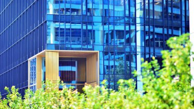 Çevre mimarisi. Yeşil ağaç ve cam ofis binası. Doğanın ve modernliğin ahengi. Modern ticari binanın yansıması güneş ışığıyla cam üzerine.. 