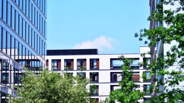 Çevre mimarisi. Yeşil ağaç ve apartman. Doğanın ve modernliğin ahengi.