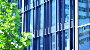 Çevre mimarisi. Yeşil ağaç ve cam ofis binası. Doğanın ve modernliğin ahengi. Modern ticari binanın yansıması güneş ışığıyla cam üzerine.. 