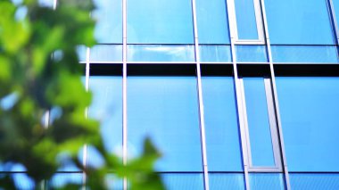 Çevre mimarisi. Yeşil ağaç ve cam ofis binası. Doğanın ve modernliğin ahengi. Modern ticari binanın yansıması güneş ışığıyla cam üzerine.. 