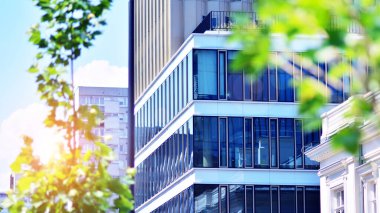 Çevre mimarisi. Yeşil ağaç ve cam ofis binası. Doğanın ve modernliğin ahengi. Modern ticari binanın yansıması güneş ışığıyla cam üzerine.. 