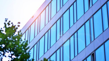Çevre mimarisi. Yeşil ağaç ve cam ofis binası. Doğanın ve modernliğin ahengi. Modern ticari binanın yansıması güneş ışığıyla cam üzerine.. 