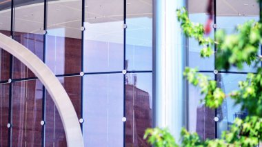 Çevre mimarisi. Yeşil ağaç ve cam ofis binası. Doğanın ve modernliğin ahengi. Modern ticari binanın yansıması güneş ışığıyla cam üzerine.. 