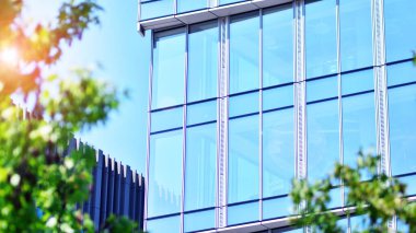 Çevre mimarisi. Yeşil ağaç ve cam ofis binası. Doğanın ve modernliğin ahengi. Modern ticari binanın yansıması güneş ışığıyla cam üzerine.. 