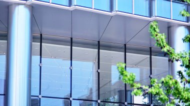 Çevre mimarisi. Yeşil ağaç ve cam ofis binası. Doğanın ve modernliğin ahengi. Modern ticari binanın yansıması güneş ışığıyla cam üzerine.. 