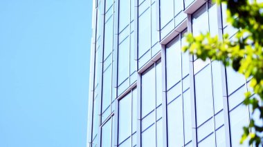 Çevre mimarisi. Yeşil ağaç ve cam ofis binası. Doğanın ve modernliğin ahengi. Modern ticari binanın yansıması güneş ışığıyla cam üzerine.. 