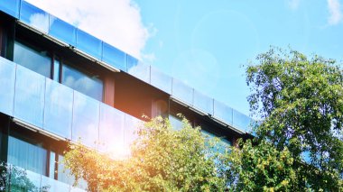 Çevre mimarisi. Yeşil ağaç ve apartman. Doğanın ve modernliğin ahengi.