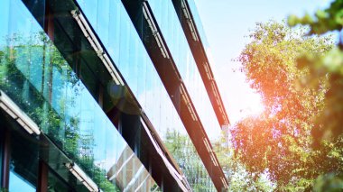 Çevre mimarisi. Yeşil ağaç ve apartman. Doğanın ve modernliğin ahengi.