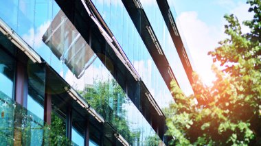 Çevre mimarisi. Yeşil ağaç ve apartman. Doğanın ve modernliğin ahengi.