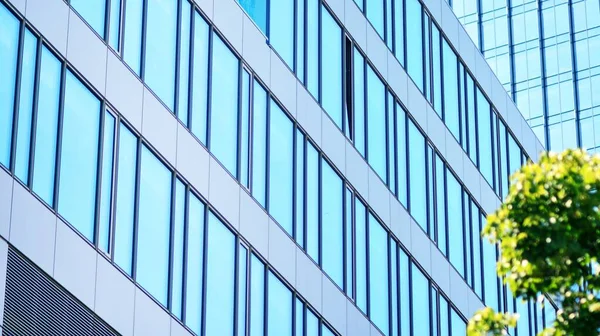 Eco architecture. Green tree and glass office building. The harmony of nature and modernity. Reflection of modern commercial building on glass with sunlight.