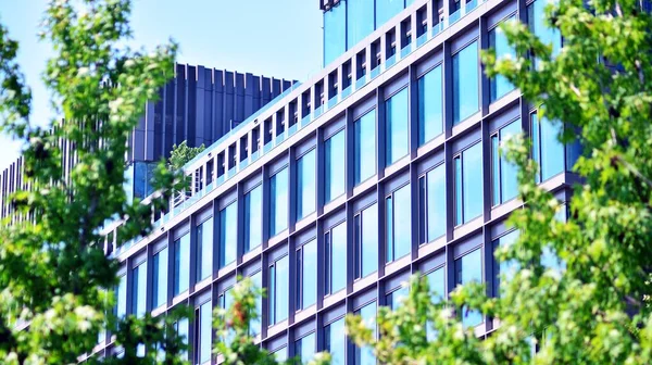 Eco Architecture Green Tree Glass Office Building Harmony Nature Modernity — Stock Photo, Image