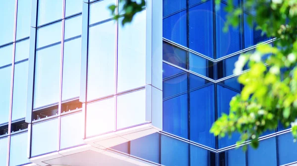 Eco architecture. Green tree and glass office building. The harmony of nature and modernity. Reflection of modern commercial building on glass with sunlight.