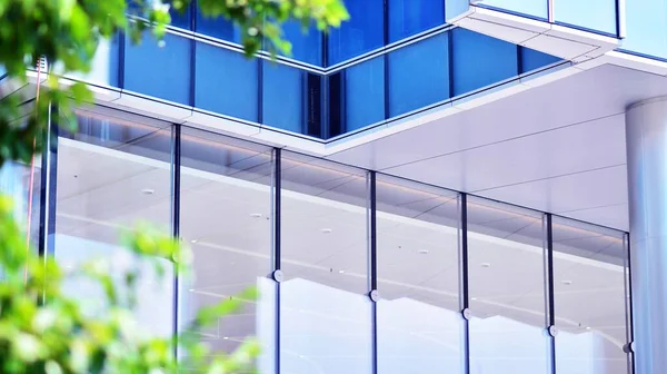 Eco architecture. Green tree and glass office building. The harmony of nature and modernity. Reflection of modern commercial building on glass with sunlight.