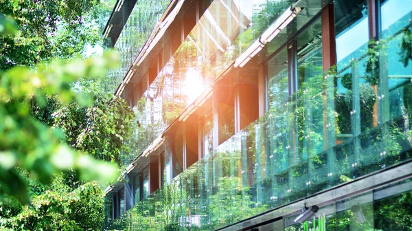 Eco architecture. Green tree and apartment building. The harmony of nature and modernity.