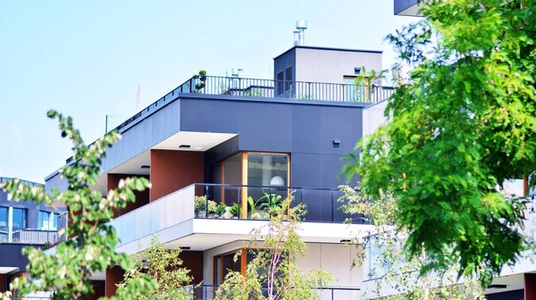 Eco architecture. Green tree and apartment building. The harmony of nature and modernity.