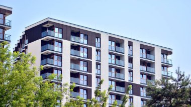 Çevre mimarisi. Yeşil ağaç ve apartman. Doğanın ve modernliğin ahengi.