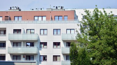 Çevre mimarisi. Yeşil ağaç ve apartman. Doğanın ve modernliğin ahengi.