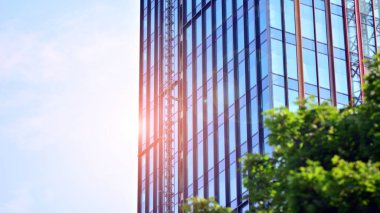 Çevre mimarisi. Yeşil ağaç ve cam ofis binası. Doğanın ve modernliğin ahengi. Modern ticari binanın yansıması güneş ışığıyla cam üzerine.. 