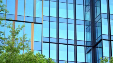 Çevre mimarisi. Yeşil ağaç ve cam ofis binası. Doğanın ve modernliğin ahengi. Modern ticari binanın yansıması güneş ışığıyla cam üzerine.. 