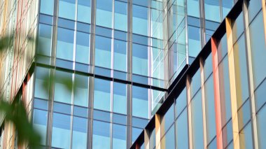 Çevre mimarisi. Yeşil ağaç ve cam ofis binası. Doğanın ve modernliğin ahengi. Modern ticari binanın yansıması güneş ışığıyla cam üzerine.. 