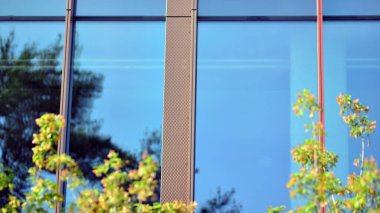 Çevre mimarisi. Yeşil ağaç ve cam ofis binası. Doğanın ve modernliğin ahengi. Modern ticari binanın yansıması güneş ışığıyla cam üzerine.. 