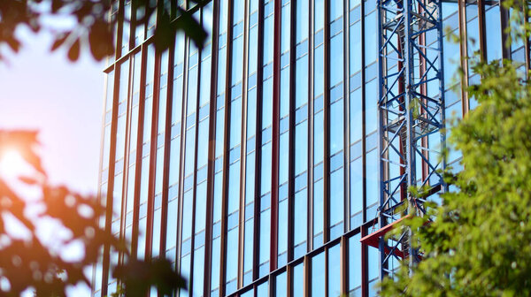 Eco architecture. Green tree and glass office building. The harmony of nature and modernity. Reflection of modern commercial building on glass with sunlight.