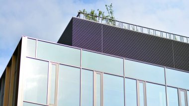 Çevre mimarisi. Yeşil ağaç ve cam ofis binası. Doğanın ve modernliğin ahengi. Modern ticari binanın yansıması güneş ışığıyla cam üzerine.. 