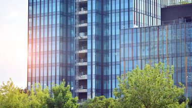 Çevre mimarisi. Yeşil ağaç ve cam ofis binası. Doğanın ve modernliğin ahengi. Modern ticari binanın yansıması güneş ışığıyla cam üzerine.. 