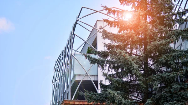Eco Arquitetura Árvore Verde Prédio Apartamentos Harmonia Natureza Modernidade — Fotografia de Stock