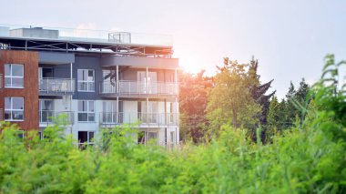 Çevre mimarisi. Yeşil ağaç ve apartman. Doğanın ve modernliğin ahengi.