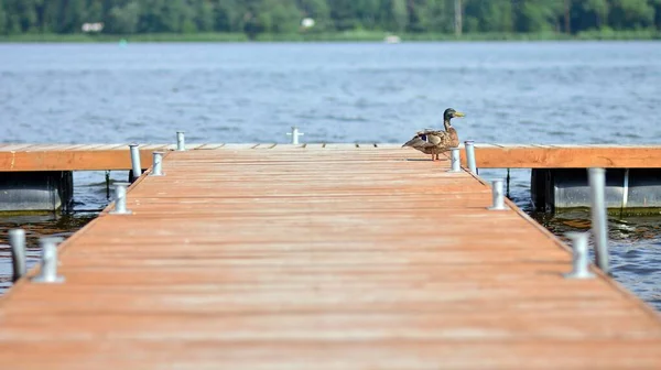 Wooden Pier Lake — Stock Photo, Image