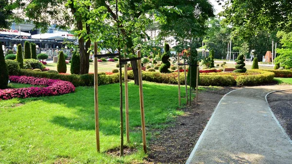 Miedzyzdroje 2021年7月22日美丽的城市公园 有五彩缤纷的植物 — 图库照片