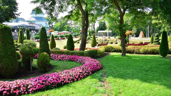 Miedzyzdroje Polen Den Juli 2021 Vacker Stadspark Med Färgglada Växter — Stockfoto