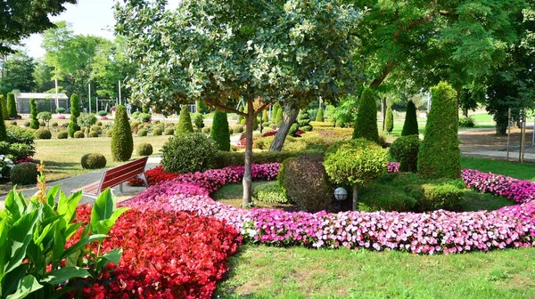 Miedzyzdroje Polsko Července2021 Krásný Městský Park Pestrobarevnými Rostlinami — Stock fotografie