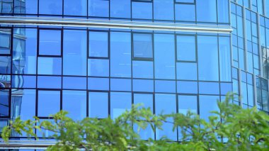 Yeşil yapraklı modern cam ofis binası. Şehir konseptinde eko inşa ve yeşillikler.