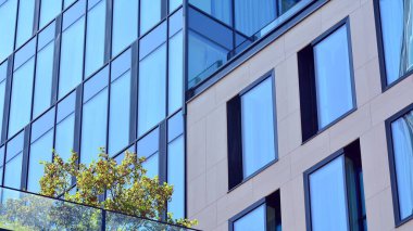 Yeşil yapraklı modern cam ofis binası. Şehir konseptinde eko inşa ve yeşillikler.