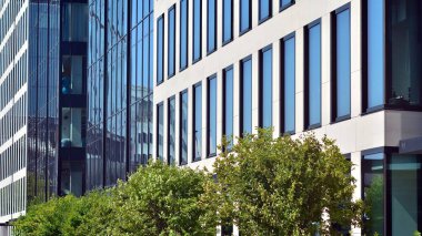 Yeşil yapraklı modern cam ofis binası. Şehir konseptinde eko inşa ve yeşillikler.