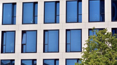 Yeşil yapraklı modern cam ofis binası. Şehir konseptinde eko inşa ve yeşillikler.