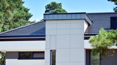 Çevre mimarisi. Yeşil ağaçlar ve ormandaki modern bekar aile binaları. Doğanın ve modernliğin ahengi.