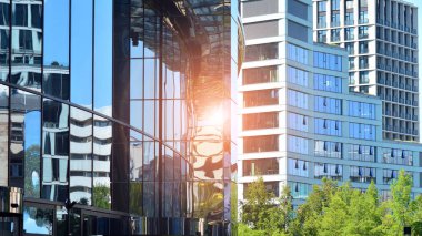 Yeşil yapraklı modern cam ofis binası. Şehir konseptinde eko inşa ve yeşillikler.