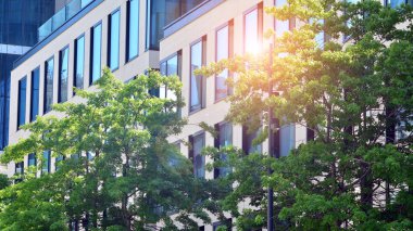 Yeşil yapraklı modern cam ofis binası. Şehir konseptinde eko inşa ve yeşillikler.