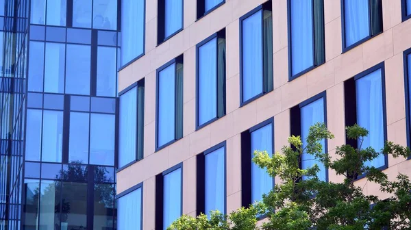 Moderno Edificio Oficinas Cristal Con Hojas Verdes Construcción Ecológica Plantas — Foto de Stock