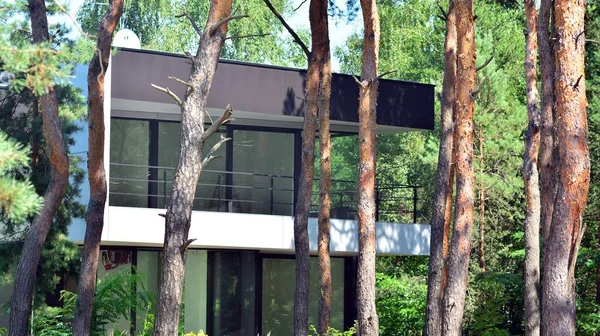 Arquitectura Ecológica Árboles Verdes Moderno Edificio Unifamiliar Bosque Armonía Naturaleza — Foto de Stock