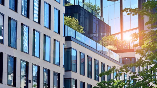 Modern glass office building with green leaves. Eco building  and greens  plants  in city concept.