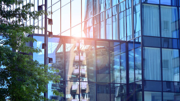 Modern glass office building with green leaves. Eco building and greens plants in city concept.