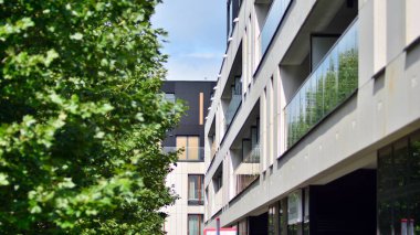 Çevre mimarisi. Yeşil ağaç ve apartman. Doğanın ve modernliğin ahengi.