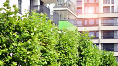 Çevre mimarisi. Yeşil ağaç ve yeni apartman. Doğanın ve modernliğin ahengi.