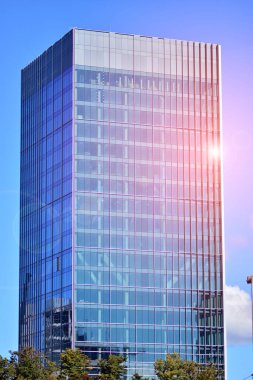 Çevre mimarisi. Yeşil ağaç ve cam ofis binası. Doğanın ve modernliğin ahengi. Modern ticari binanın yansıması güneş ışığıyla cam üzerine.. 