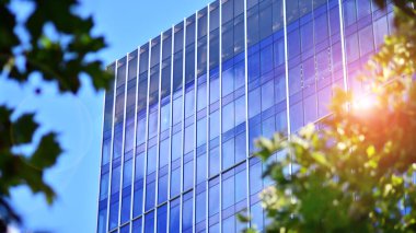 Çevre mimarisi. Yeşil ağaç ve cam ofis binası. Doğanın ve modernliğin ahengi. Modern ticari binanın yansıması güneş ışığıyla cam üzerine.. 